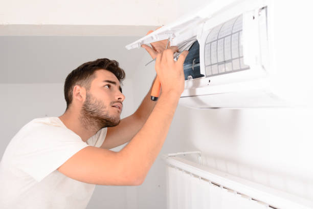 Best Air Duct Mold Removal  in Merrifield, VA